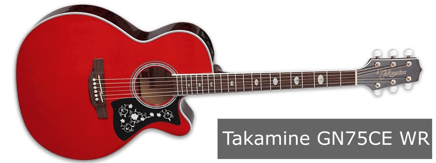 Takamine GN75CE WR